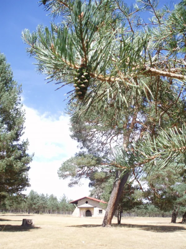Río de la dehesa Río de la dehesa